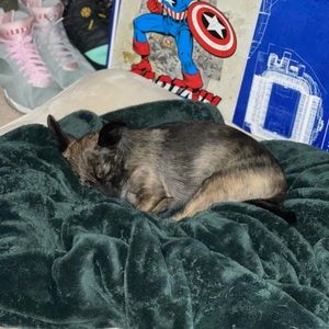 Meet your Posher, Max